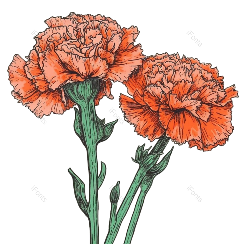 花朵背景图片,花朵素材元素,花朵边框PNG,免抠素材
